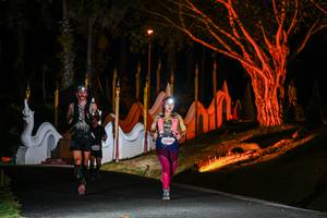 BIB: 
                            <button type="button" onclick="openModal(22510763)" class="btn btn-primary btn-sm float-right btn-popup" data-toggle="modal" data-target=".modal-high-quality">
                        <i class="fas fa-shopping-cart"></i> Add to Cart
                    </button>
                                            <button type="button" onclick="isThisMe(22510763, true)" class="btn btn-success btn-sm float-right btn-popup btn-isme hidden" data-toggle="tooltip" data-placement="bottom" title="นี่คือรูปของคุณใช่ไหม คลิกที่นี่เพื่อเอาเข้าอัลบั้ม">
                        <i class="fas fa-plus"></i> Add to album
                    </button>
                    <button type="button" onclick="isThisMe(22510763, false)" class="btn btn-warning btn-sm float-right btn-popup btn-isnotme hidden">
                        <i class="fas fa-ban"></i> Remove from album
                    </button>